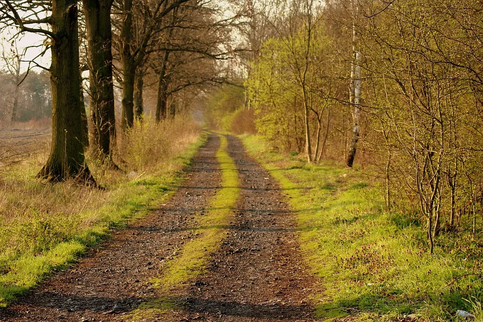 Verkehrsinfo Verlaengerte Sperrungen In Eisenach Bis Ende September Jpg.webp