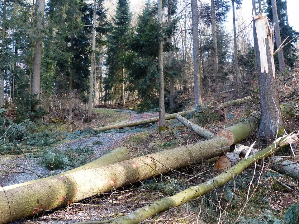 Verkehrsunfallflucht In Koblenz Polizei Sucht Zeugen Fuer Schadensfall Jpg.webp