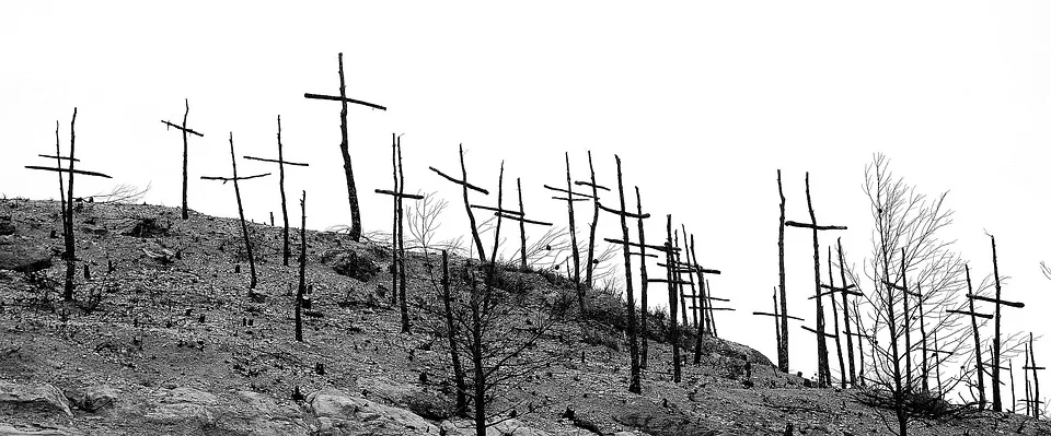 Waldbrand Am Brocken Einsatzkraefte Hoffen Auf Wetterwechsel Mit Regen Jpg.webp