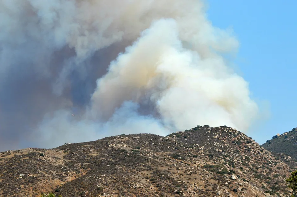 Waldbrand In Oranienbaum 51 Hektar Unter Kontrolle Sicherheitslage Stabil Jpg.webp