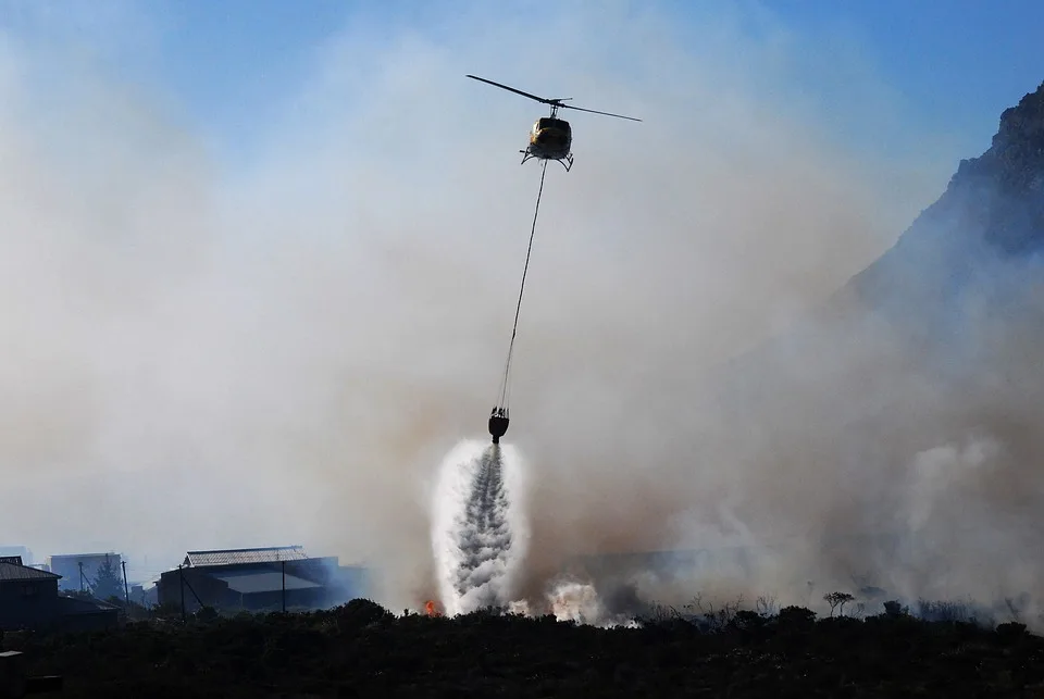 Waldbrandgefahr In Deutschland Wo Die Krise Droht Und Loesungen Gefragt Jpg.webp