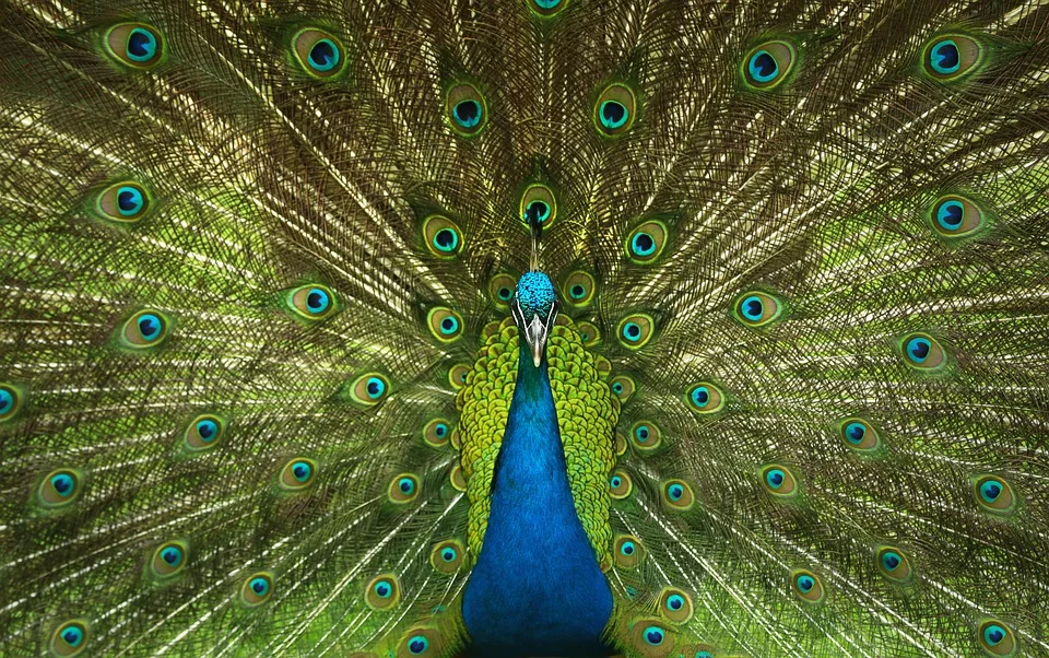 Zahlreiche Verkehrsunfaelle In Eschwege Wildtiere Und Autofahrer Im Fokus Jpg.webp