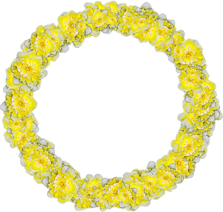 Daffodils 3285563 960 720.png