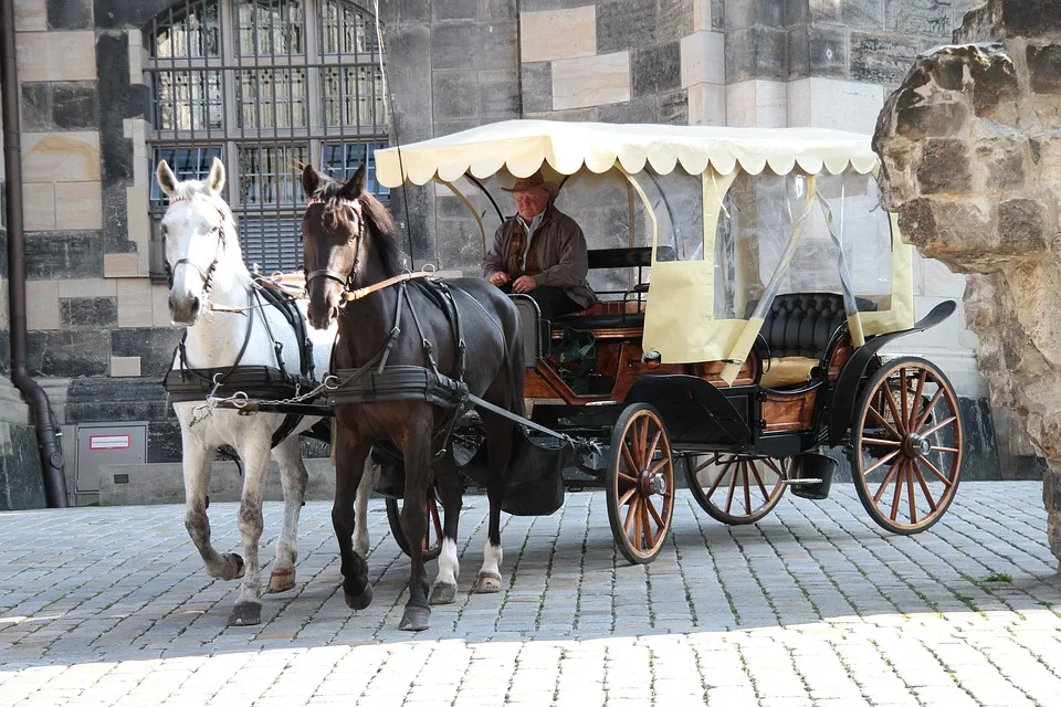 „dresden Ueberrascht Mit Einzigartigem Lichtspiel Geweihe Im Stallhof Jpg.webp