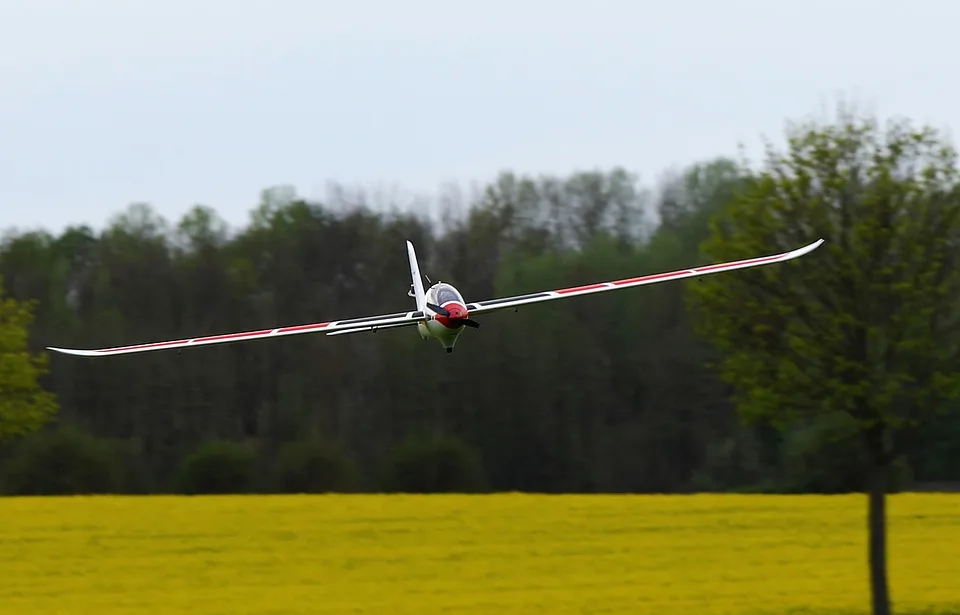 „freundschaftsfliegen Der Firebirds Albstadt Ein Fest Fuer Modellflugfans Jpg.webp