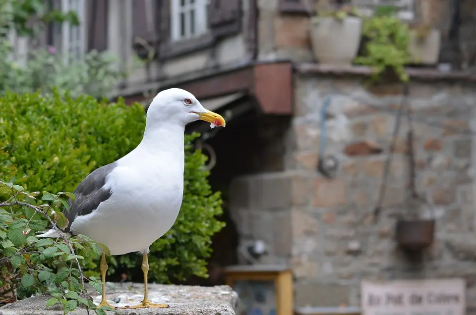 Trauriges „Jubiläum“ - Der Tag, an dem die ersten Bomben auf Amstetten fielen