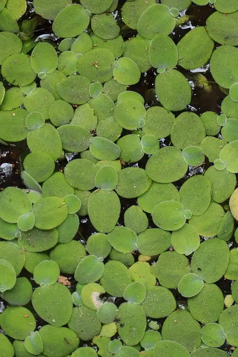 MeinBezirk.at"Brigittenau im Fokus": Bei Punsch und Keksen über den 20. Bezirk plaudernDie Ausstellung “Brigittenau im Fokus” präsentiert die Eindrücke und 
Wünsche der Bewohnerinnen und Bewohner des 20. Bezirks. Besucherinnen und 
Besucher....vor 30 Minuten