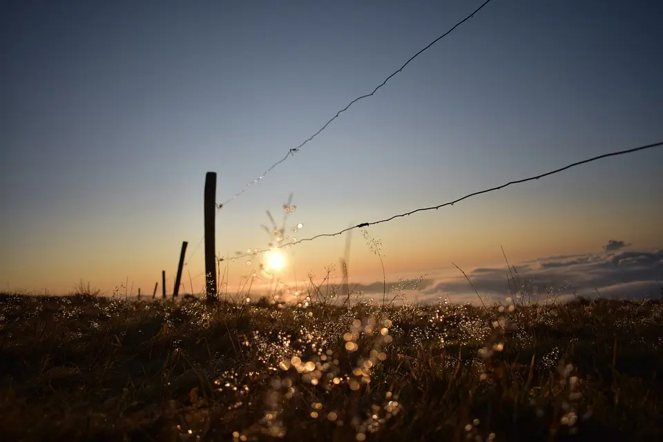 MeinBezirk.atGrundwasser und Photovoltaik: Die Meldungen des Tages aus dem BurgenlandBURGENLAND. Sport, Lokal, Leute, Wirtschaft: Wir haben die wichtigsten 
Meldungen des Tages aus dem Burgenland für dich zusammengefasst..vor 54 Minuten