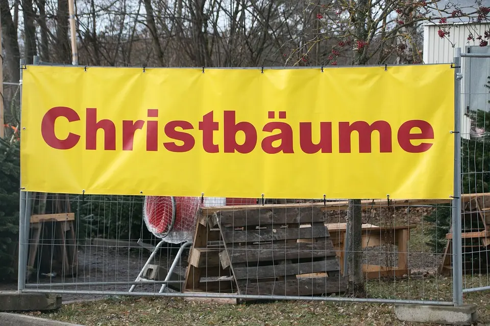 Heimische Tannen: Christbäume aus der Region stärken die Wirtschaft