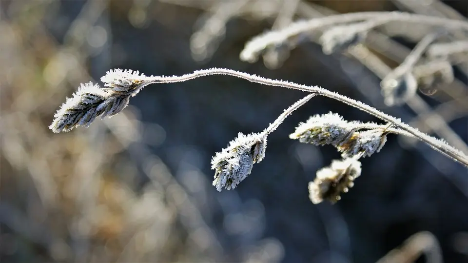 Wintersport - Saisonstart am Melker Eislaufplatz