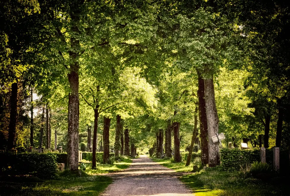 Volksschüler erkundeten den Ischler Friedhof