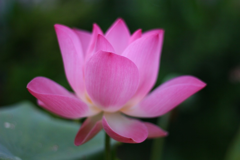 Erdrutschsieg für die FPÖ: Was bedeutet das für die Steiermark?