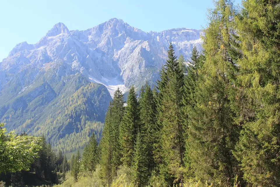 Polizei schnappt mutmaßlichen Einbrecher aus Tirol – 5 Minuten