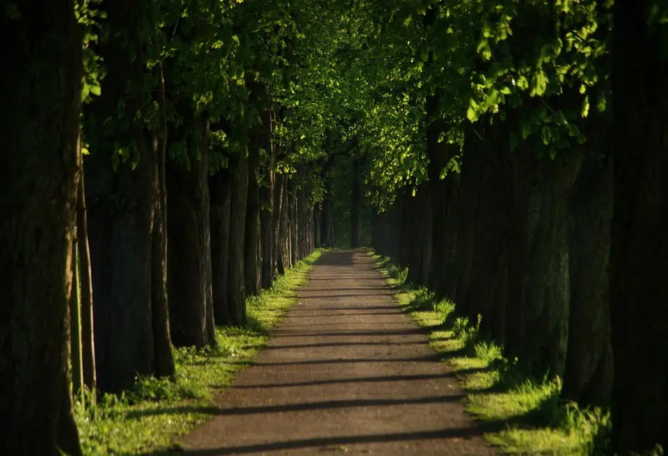 1,3 Kilometer "Radln": Radweg-Bau in der Leopoldauer Straße startet 2025