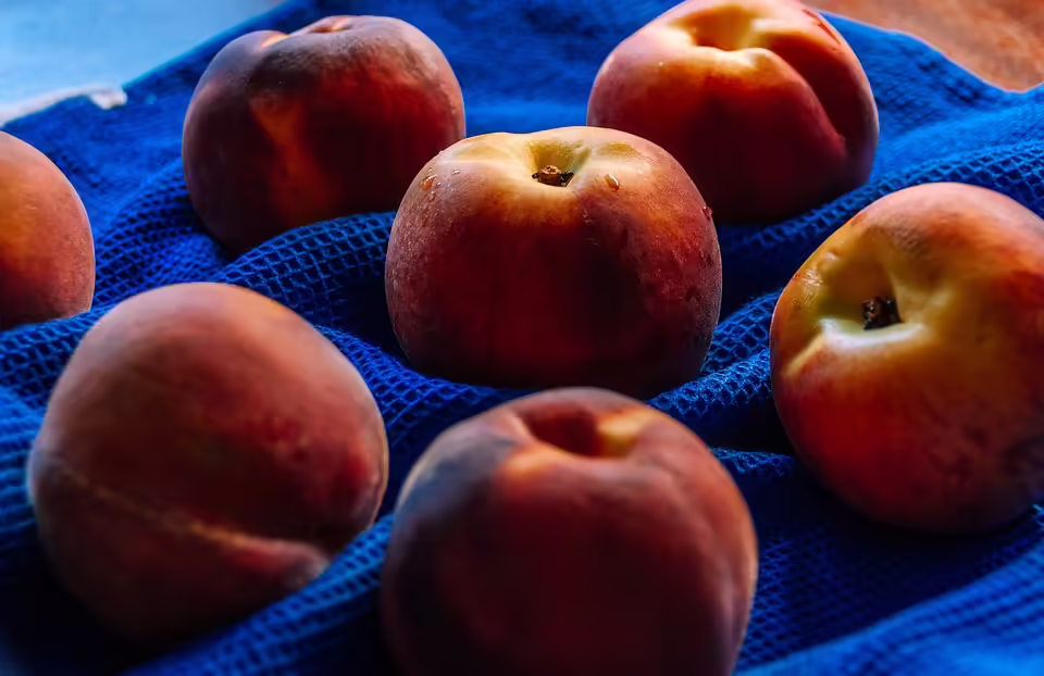 Frische Äpfel aus Vorarlberg: Qualität und Klimaschutz in einer Region