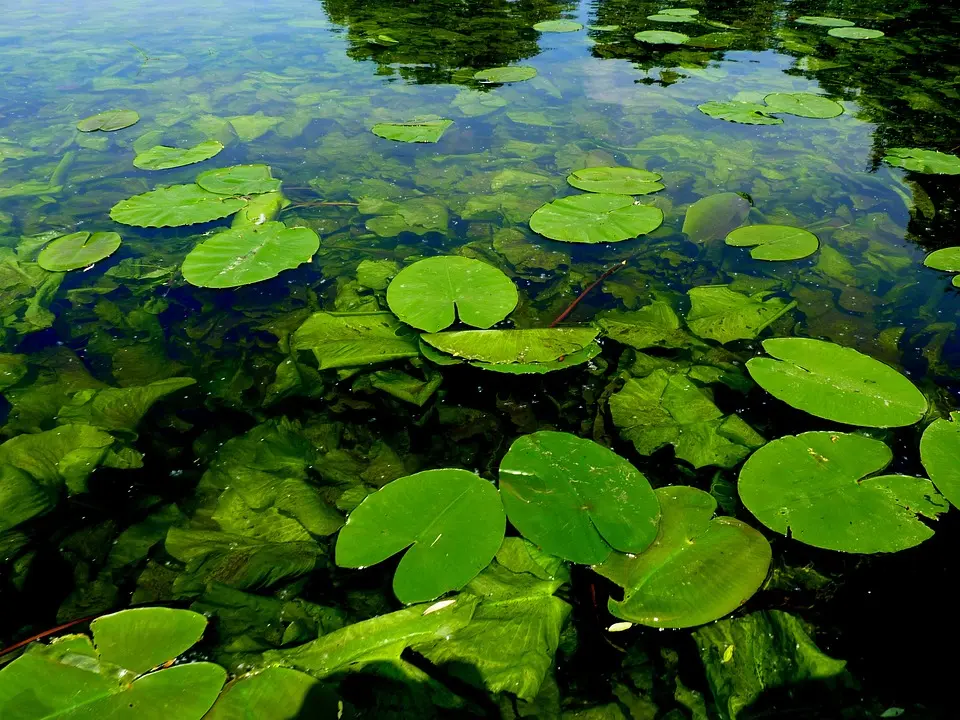 16 Tage gegen Gewalt: Motto: "Die Scham muss die Seiten wechseln"