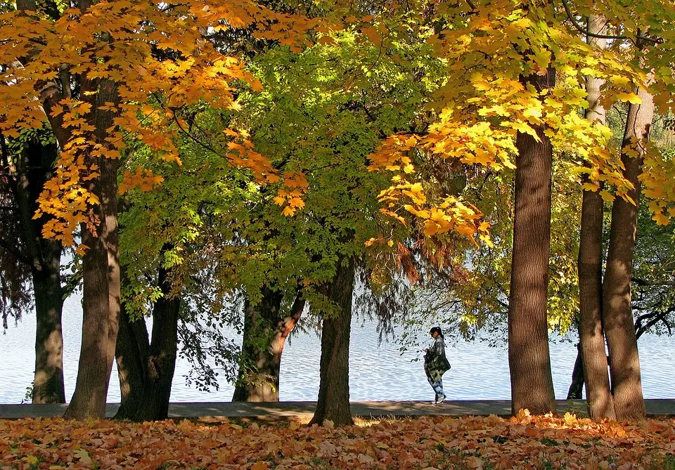 Wetter Klagenfurt am Wörthersee heute und morgen: So wird das Wetter in den nächsten 7 Tagen