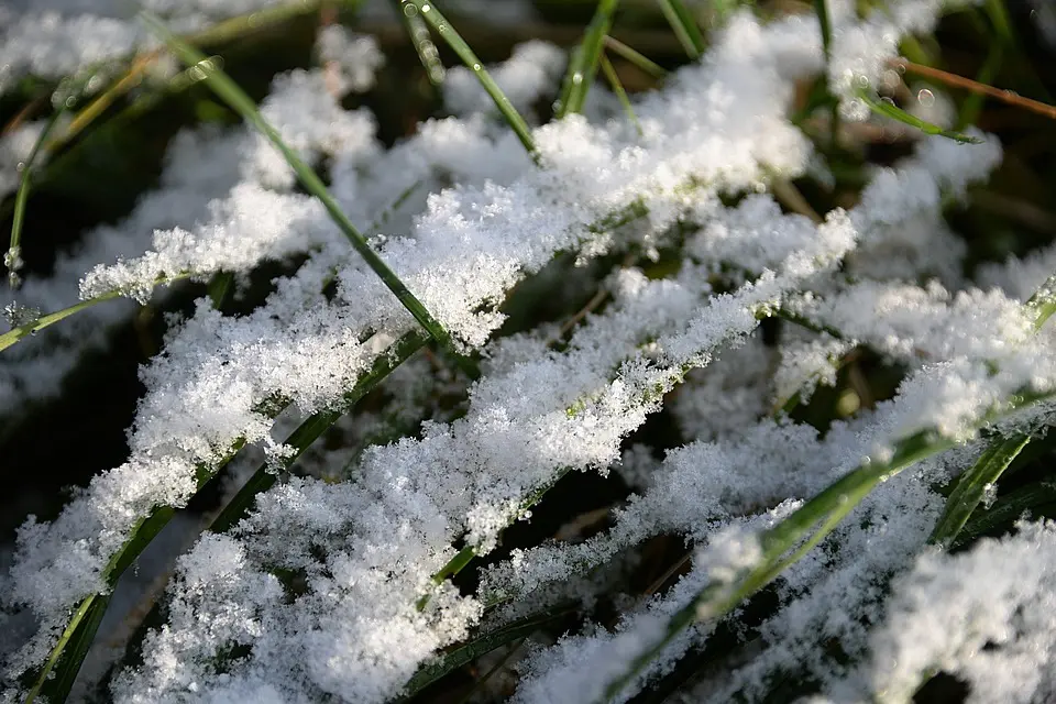 Wetter Wolfsberg (22.11.24 bis 28.11.24): Wettervorhersage und 7-Tage-Trend im Überblick