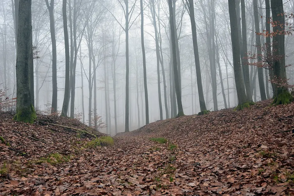 MeinBezirk.atWetter in Wien: Trübes Herbstwetter und kühlere Temperaturen ab MittwochHerbstlich und bewölkt zeigt sich das Wetter in der ersten Wochenhälfte. Am 
Montag und Mittwoch ist zeitweiser Regen angesagt. Ab Mittwoch wird es 
kälter..vor 2 Minuten