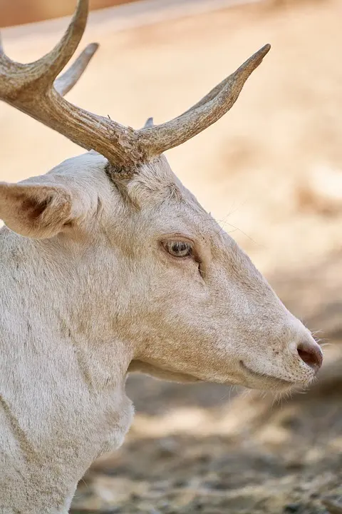 Unterstützung - Medizin-Geräte aus Horn für Nigeria