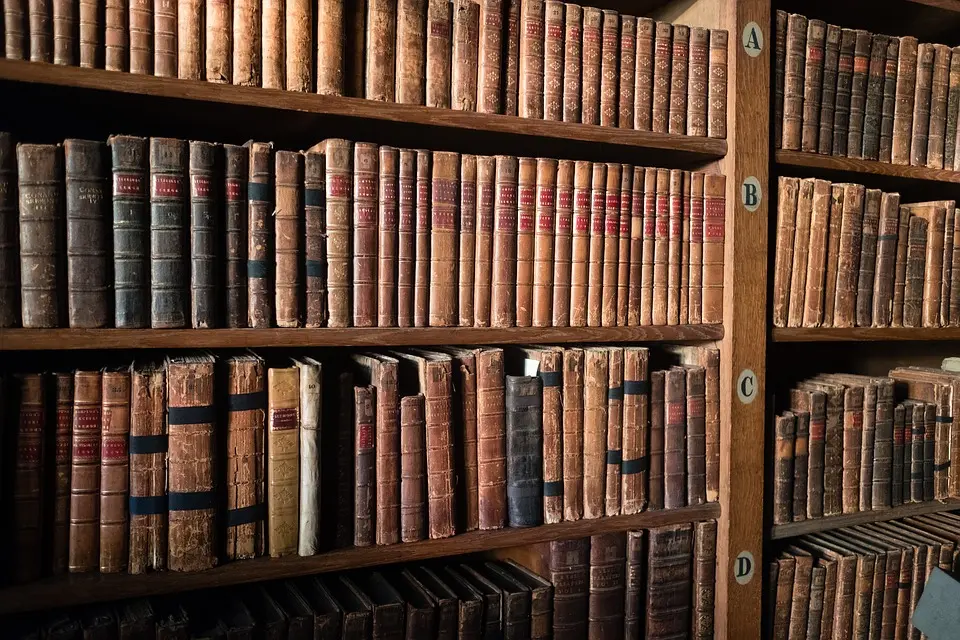 Bibliothek zieht im kommenden Jahr in die Arkade