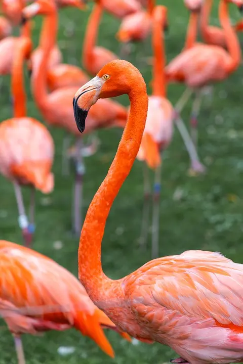 MeinBezirk.atNaturerlebnis und adventliches Gestalten für KinderWir werden uns in der näheren Umgebung auf die Suche nach geeigneten 
Materialien machen und einen natürlichen Schmuck für den Adventtisch 
gestalten..vor 30 Minuten