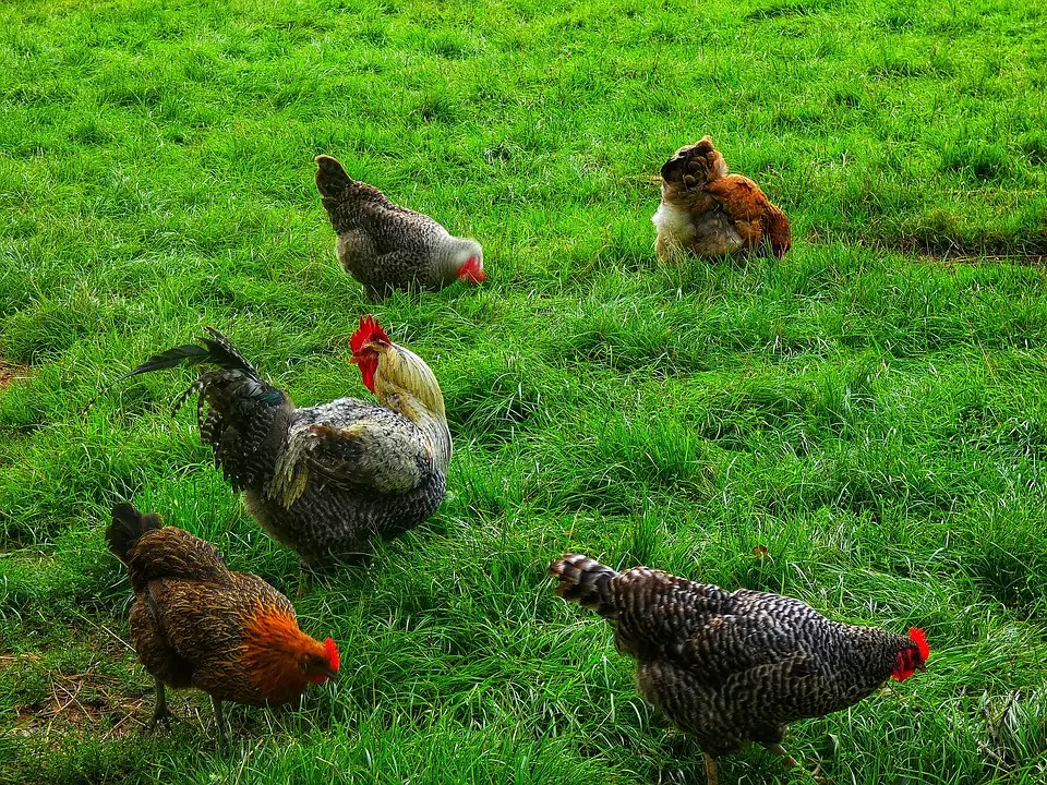 Familie Postl lädt ab Frühling Kinder zu "Schule am Bauernhof" nach Vorderweißenbach ein