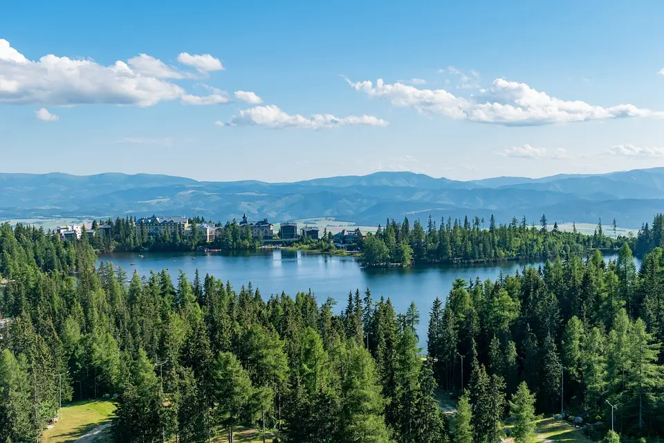 Neunkirchen: Ja zu Solarparks und Hummelwiese - Neckartal und Odenwald - Nachrichten und Aktuelles aus der Region