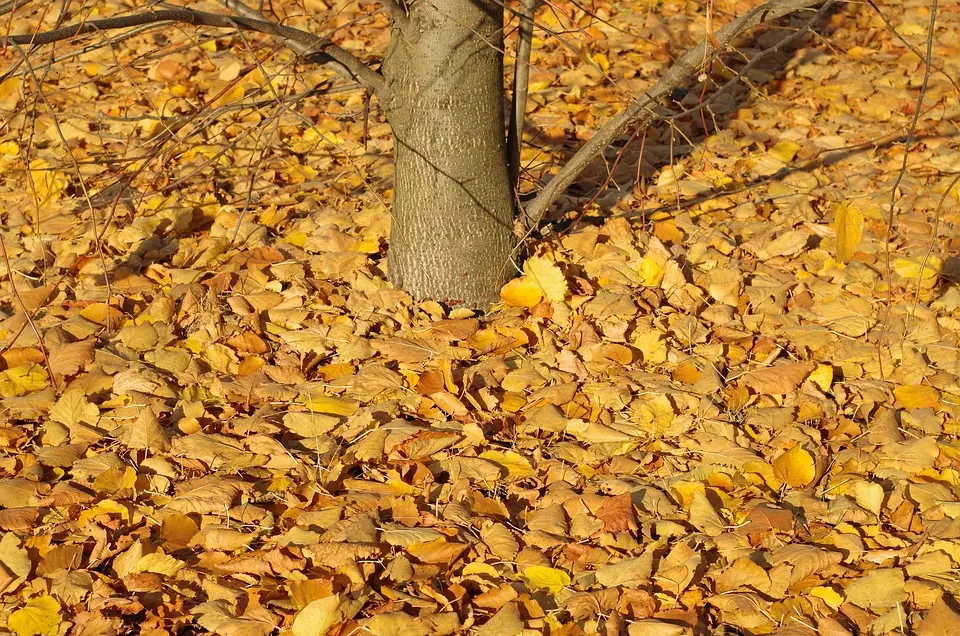 November sehr trocken, sehr sonnig und zu kühl