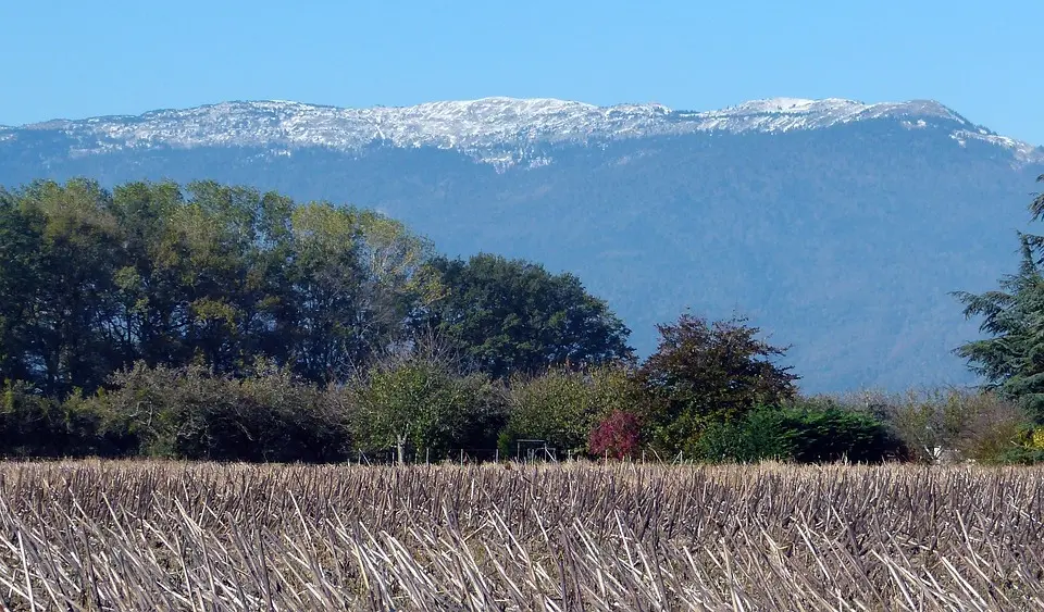 N1 Bosna i HercegovinaAustrijski ljekari bore se za život radnika iz BiH: Povrijeđen prilikom 
sječe šumeDržavljanin Bosne i Hercegovine, koji se nalazi na privremenom radu u 
Austriji, teško je povrijeđen u nezgodi na radu koja se desila juče u 
dijelu....vor 27 Minuten