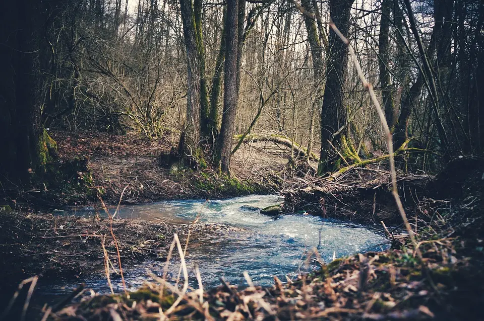 23-Jähriger angeklagt - Berauscht Unfall verursacht und Freundin misshandelt?