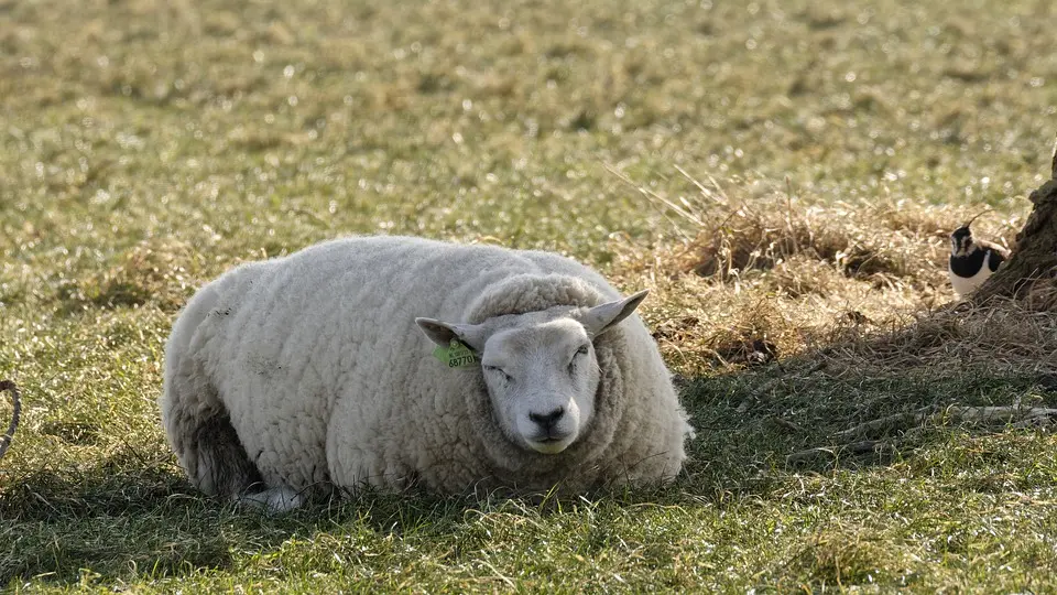 Einsatzbereit für die kalte Jahreszeit