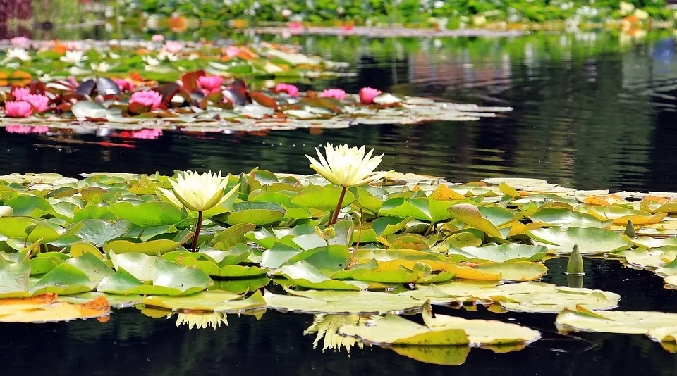 MeinBezirk.atFeldkirchen an der Donau: Tödlicher Tauchunfall im Mühldorfer WeiherSonntag Nachmittag ereignet sich im Mühldorfer Weiher (Gemeinde 
Feldkirchen) ein tödlicher Tauchunfall. FELDKIRCHEN AN DER DONAU..vor 23 Minuten