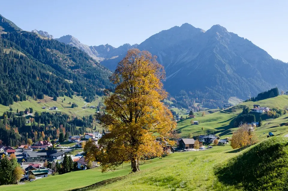 Ein Jahr mit den Lamas in Hirschegg: Abenteuer und Naturverbundenheit