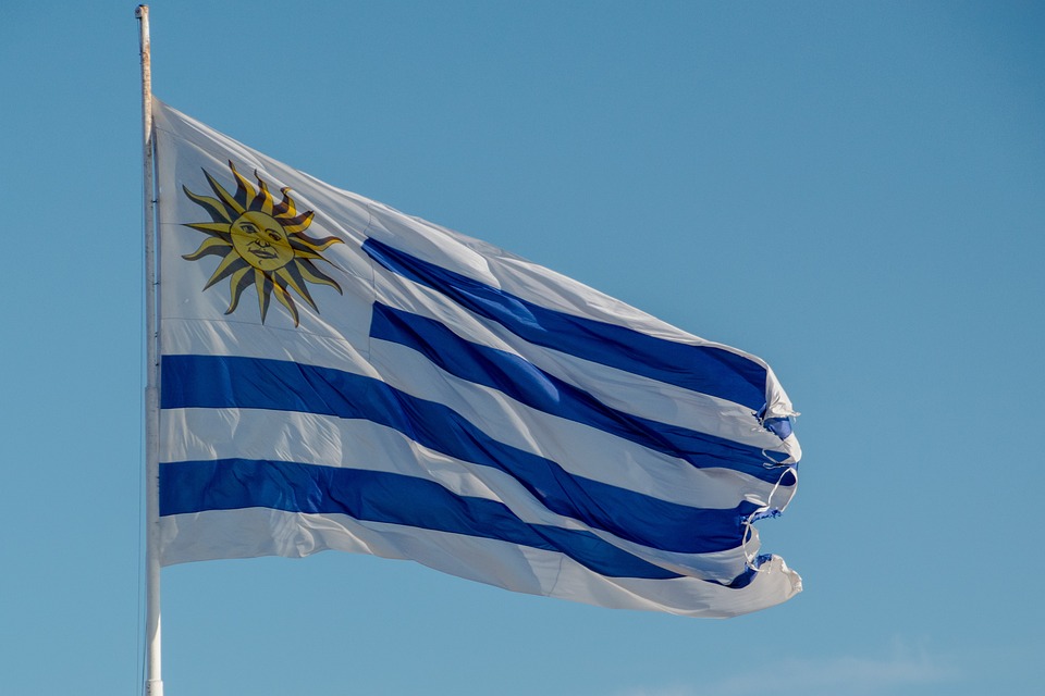 Die Präsidentschaftswahlen in Uruguay stehen kurz vor dem Höhepunkt: Ein knapper Wettlauf zwischen Álvaro Delgado und Yamandú Orsi, der über die Zukunft des Landes entscheiden wird.