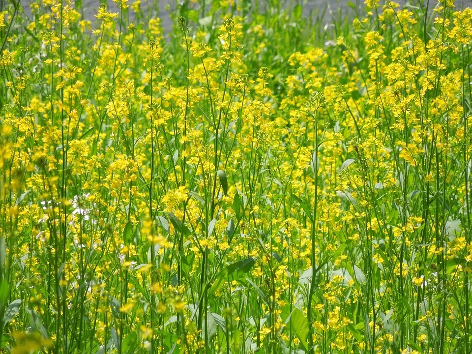 Erniedrigende Vergewaltigung auf Bahnhofsklo: Syrer zu Haft verurteilt