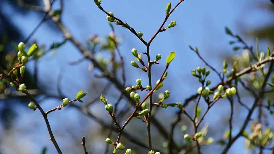 Im Frühling wird in Leoben viel Kultur geboten