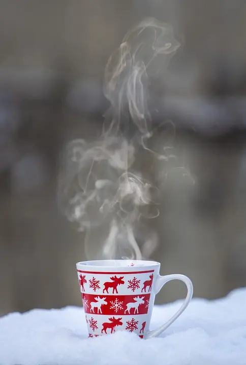 Genuss auf der Wieden: Cafés, die Wohlbefinden in der Tasse servieren