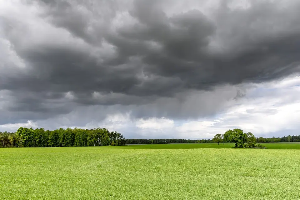 Wetter Feldkirch heute und morgen: Wetterwarnung! Die Wettervorhersage und 7-Tage-Trend für Feldkirch