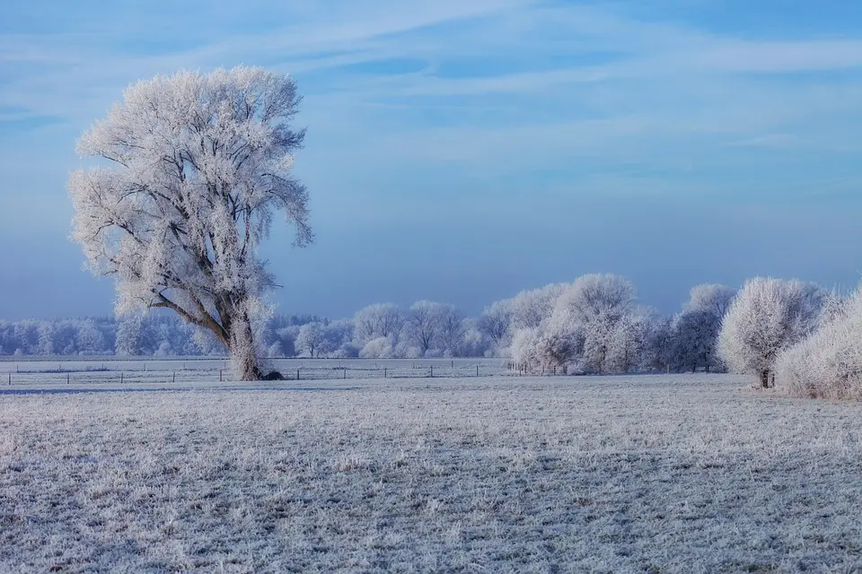 Events in Niederösterreich: Was ist los im Winter?