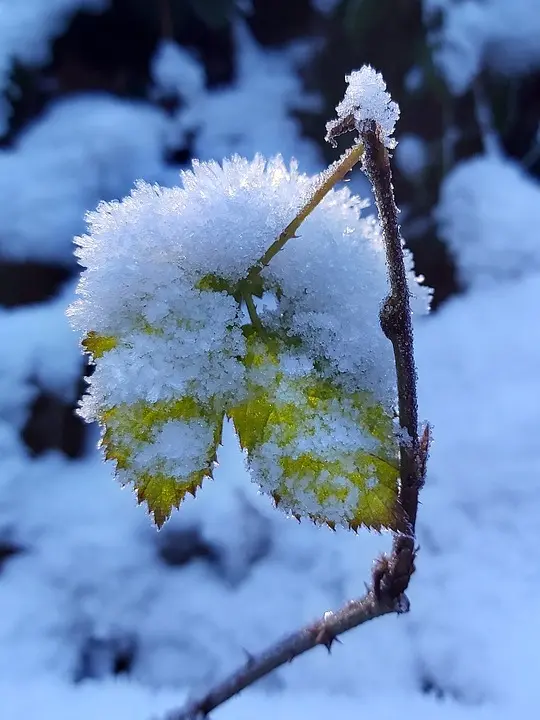 Machtinger-Ausstellung - Winterliche Burgenland-Impressionen im Alten Backhaus Eisenstadt