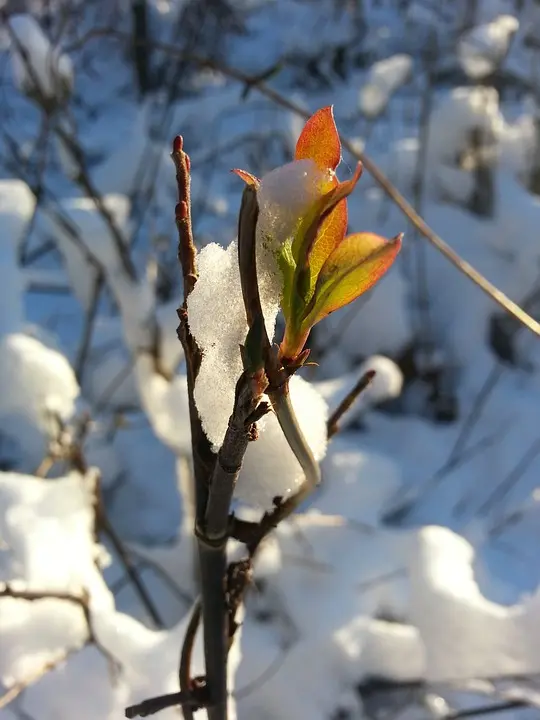 MeinBezirk.atDer Winter kündigt sich an: Erster winterlichen Spaziergang in OberschützenGroße Freude empfand ich heute Morgen beim ersten Blick in den Garten. Weiß 
und Schnee bedeckt, wie schön. Nach einem Tag in geschlossenen Räumen 
genieße....vor 26 Minuten