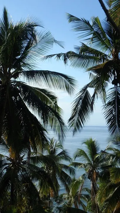 Mayotte authorities fear hunger and disease after cyclone, as death toll rises in Mozambique