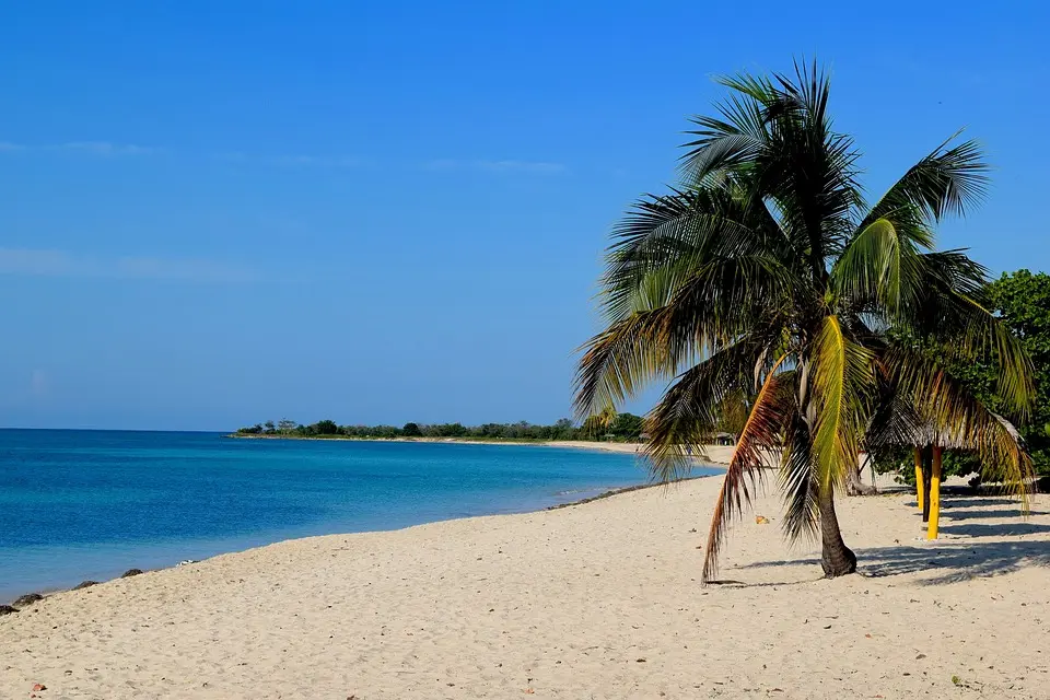 State of emergency declared in Trinidad and Tobago amid exceptionally deadly year