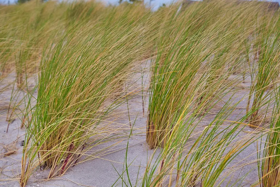 Climate change is disrupting food systems across Latin America, UN report says