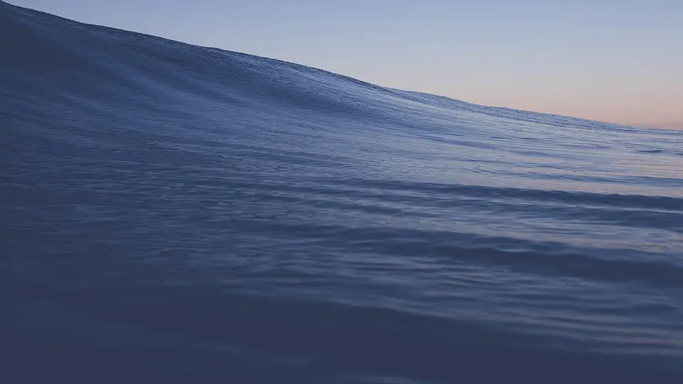 One moment, calm waters. The next, a 900-pound dolphin landed on their boat