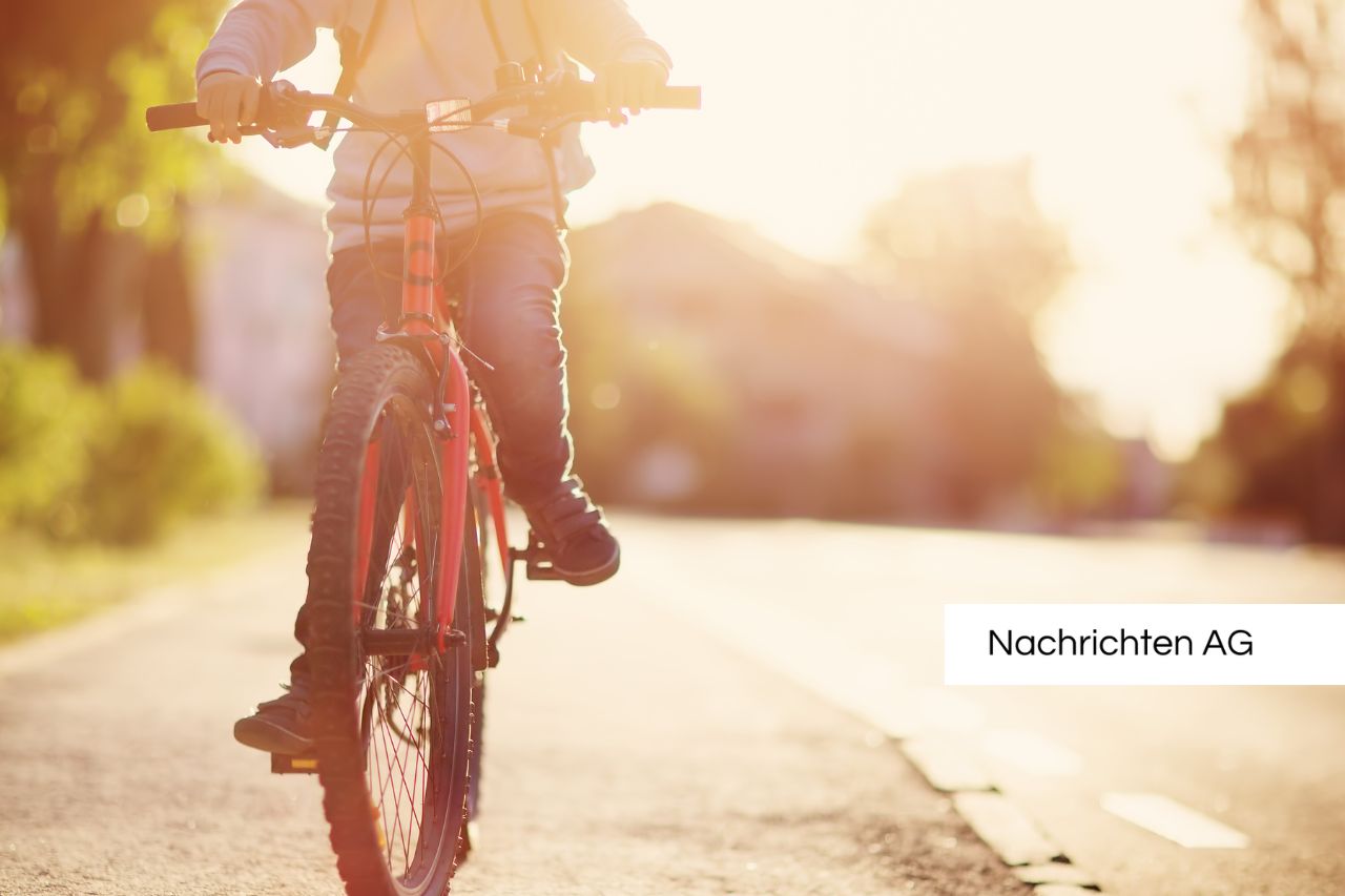Sanierung der Augartenbrücke: Wien schafft neue Radwege für alle!