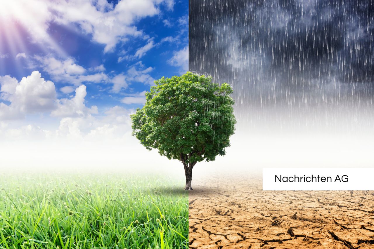 Eine aktuelle Studie zeigt, dass 50% der Deutschen Nachhaltigkeit bei Geldanlagen wichtig ist. Jüngere Anleger priorisieren Umwelt- und Klimaschutz.