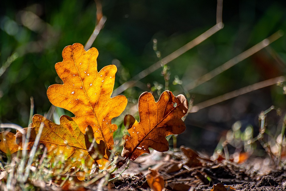 Aktienfutures fallen, Trump kündigt Chinas Verstoß gegen Handelsabkommen an
