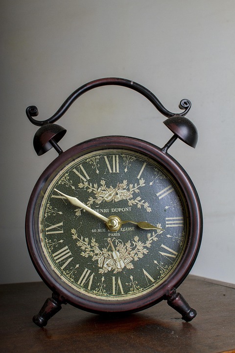 Antike Poesie enthüllt versteckte Geschichte der gefährdeten Schweinswale